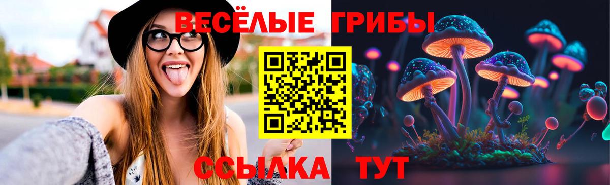 Похвистнево  Галлюциногенные грибы мицелий  Вход с VPN 